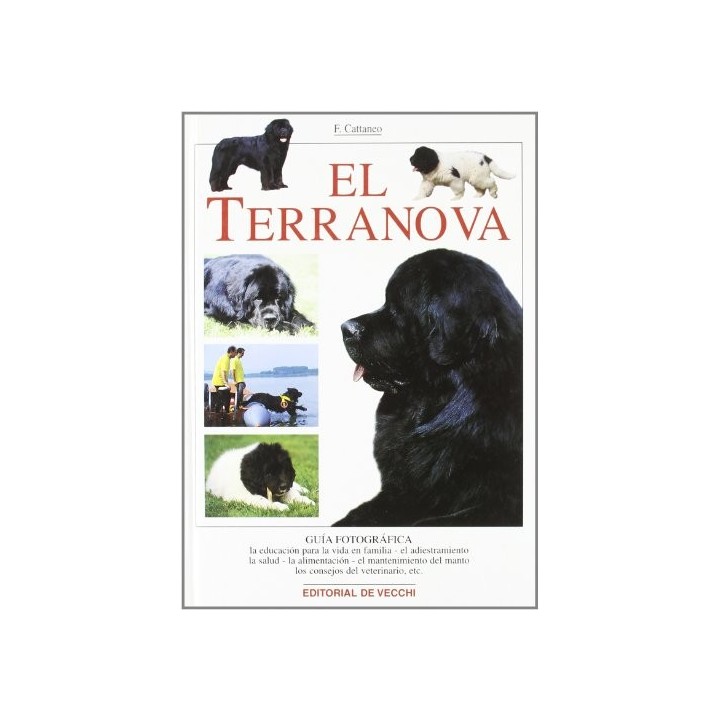 El Terranova - Cattaneo, Filippo